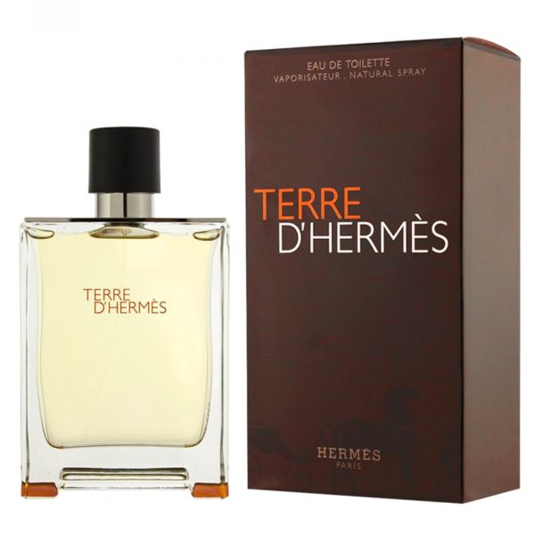 Terre D'Hermès De Hermès - Eau De Toilette Natural Spray 100 Ml